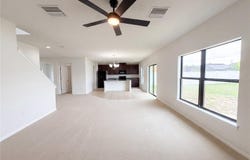 14207 ALISTAR MANOR Drive, WIMAUMA, FL 33598