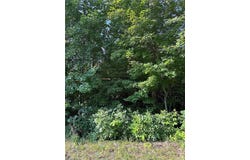 US Highway 64 W, Trinity, NC 27370