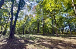 Township Rd #16-J, Mc Arthur, OH 45651