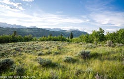 SPRING GULCH Road, Jackson, WY 83001