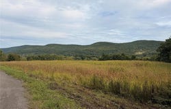 267 State Route 79, WINDSOR, NY 13865
