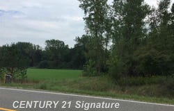 1166 E Freeland Road, Merrill, MI 48637