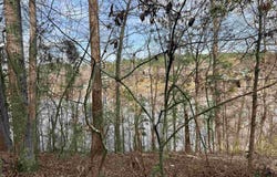 WRIGHT WAY DRIVE lot: 78, WEDOWEE, AL 36278