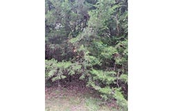 5 Silver Lane, Linn Valley, KS 66040
