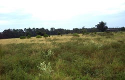 201 LR 725, Ashdown, AR 71822