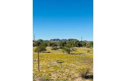 42981 Stone Ave, Bouse, AZ 85325