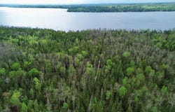 32597 Quail Lane, Laporte, MN 56461