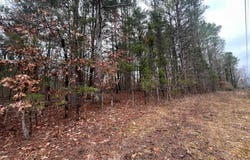 156 IRON HORSE Trl lot: 156, Parsons, TN 38363