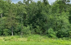 W State Hwy 3, Ringold, OK 74754