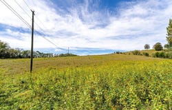 BUNKER HILL MILL RD, LEXINGTON, VA 24450