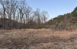 868 HOOVER ROAD lot: 0, QUINTON, AL 35130