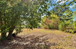 169 Navajo, Quitman, TX 75783