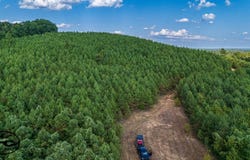 3392 Sand Mountain Rd, Enville, TN 38332