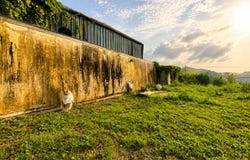 Candelaria, Toa Baja, PR 00949