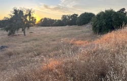 Buggy Whip Drive, Coarsegold, CA 93614