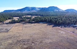 3 County Road N2261, Alpine, AZ 85920