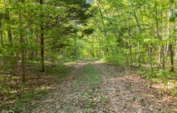 Co Rd 675 S, French Lick, IN 47432