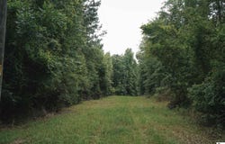 HURST ROAD, Weston, LA 71251