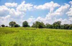 000 Egypt Lane, Washington, TX 77880