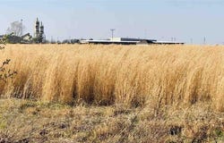 36 acres on Dee Dee Lane, Lonoke, AR 72086
