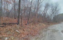 77 ALAMO Lane, FALLING WATERS, WV 25419