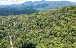 Dundee Road, Bartlett, NH 03812
