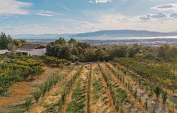 1525 E 200 S, Pleasant Grove, UT 84062