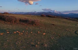 CR 100, Carbondale, CO 81623