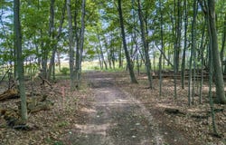 ii.5 Lane, Nahma, MI 49864