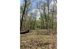 State Hwy N Tract G, Ava, MO 65608