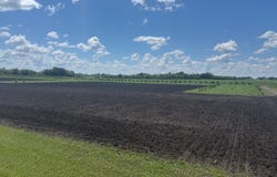 County Road 15, Minto, ND 58261