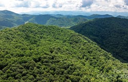 1710 Roaring Fork Road, Mars Hill, NC 28754