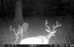 PR 8263, Broaddus, TX 75929