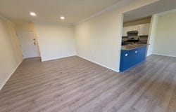 5009 7TH Road S, ARLINGTON, VA 22204