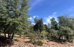 2810 E Coyote Mint Circle, Payson, AZ 85541
