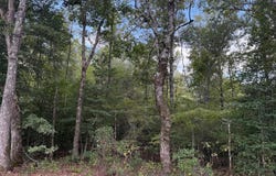 W Cherry Street, Tull, AR 72015