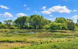 Timberlane Circle, DeForest, WI 53532