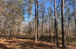 Fortner Lane, Wetumpka, AL 36092