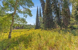 4403 FAWN Way S, Heber City, UT 84032