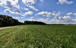 N Campbell Cemetery Road, Crofton, KY 42217