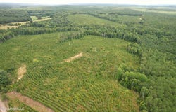 County Road 481, Paris, MS 38949