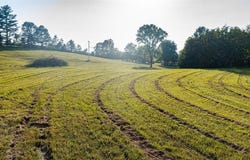 Anna Sandhill Road, Bowling Green, KY 42101