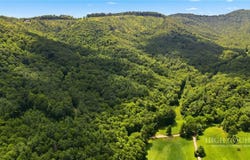 Big Ivy Road, Purlear, NC 28665
