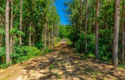 Split Rail Way lot: 1163, Guild, TN 37340