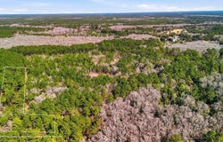 Gertie Lane, Cordesville, SC 29434