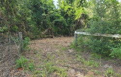 650 NE 138th Avenue, Williston, FL 32696