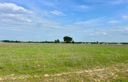 PR 5463, Mexia, TX 76667