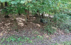 E769 AUGUSTA Lane, WAUPACA, WI 54981