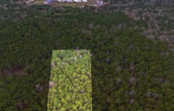 255 WARRIOR LANE lot: 255, BESSEMER, AL 35023