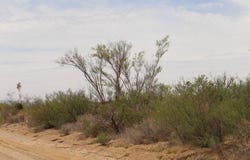 TR4528 Terlingua Ranch, Terlingua, TX 79852